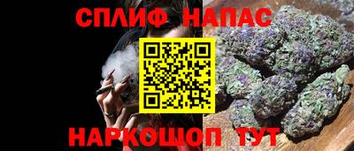 ешки Тверь
