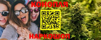 ГАЛЛЮЦИНОГЕННЫЕ ГРИБЫ Тулун