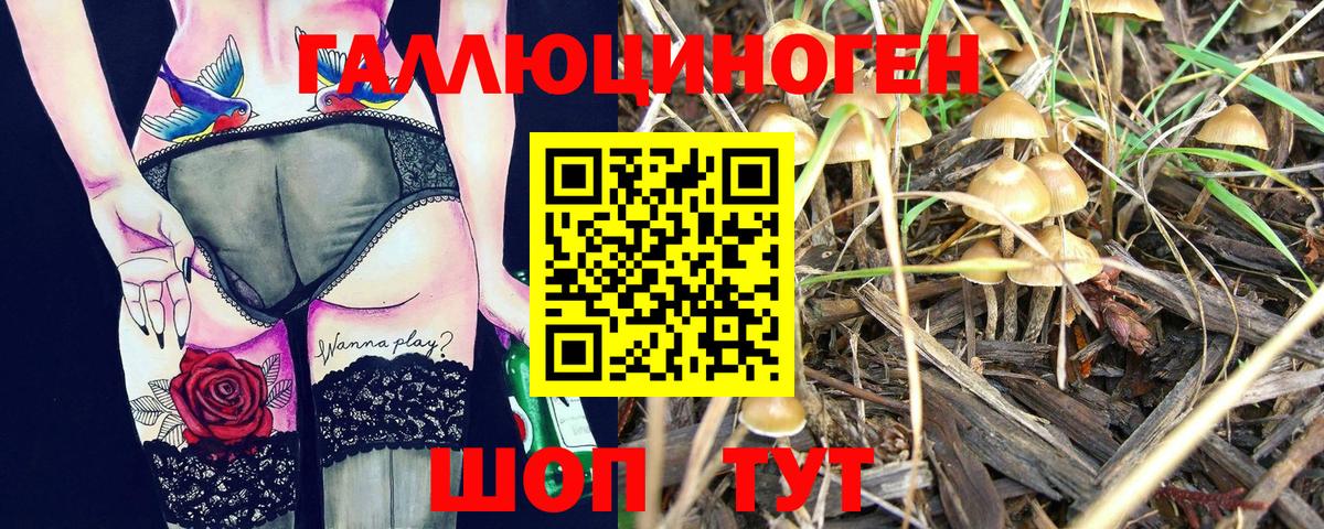 Псилоцибиновые грибы мицелий  Вход с VPN  Реутов  где купить наркотик  Галлюциногенные грибы прущие грибы 