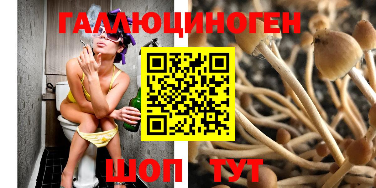 Псилоцибиновые грибы Psilocybe Реутов